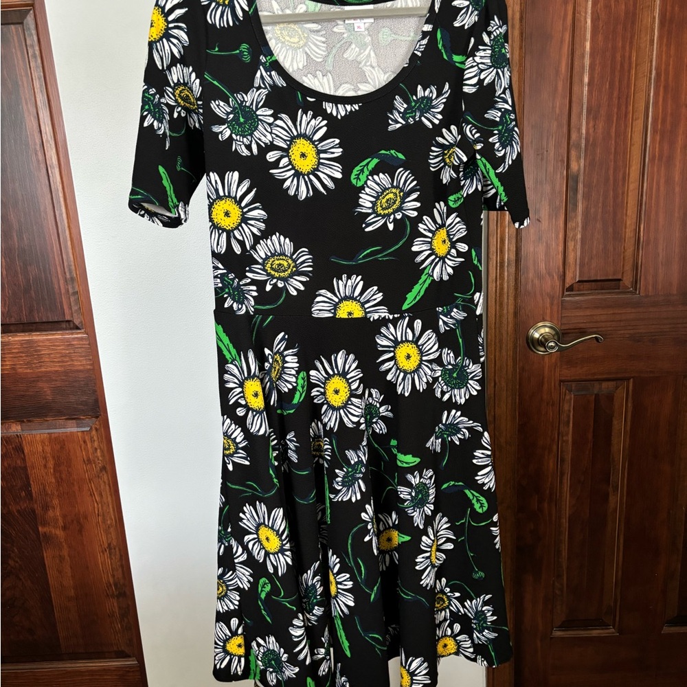LuLaRoe daisy dress with petticoat